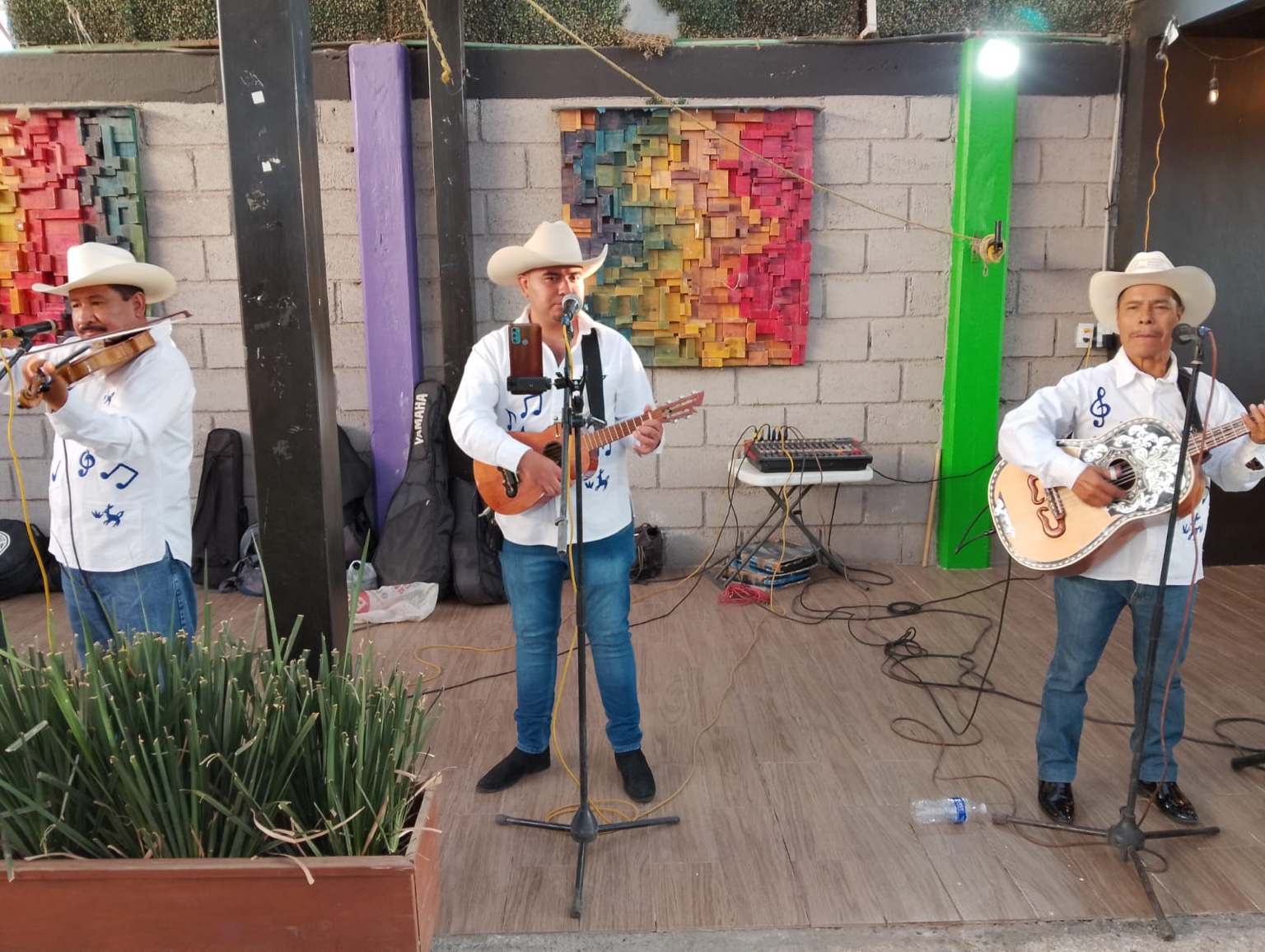 Presentación musical en vivo de RG Agencia Promotora